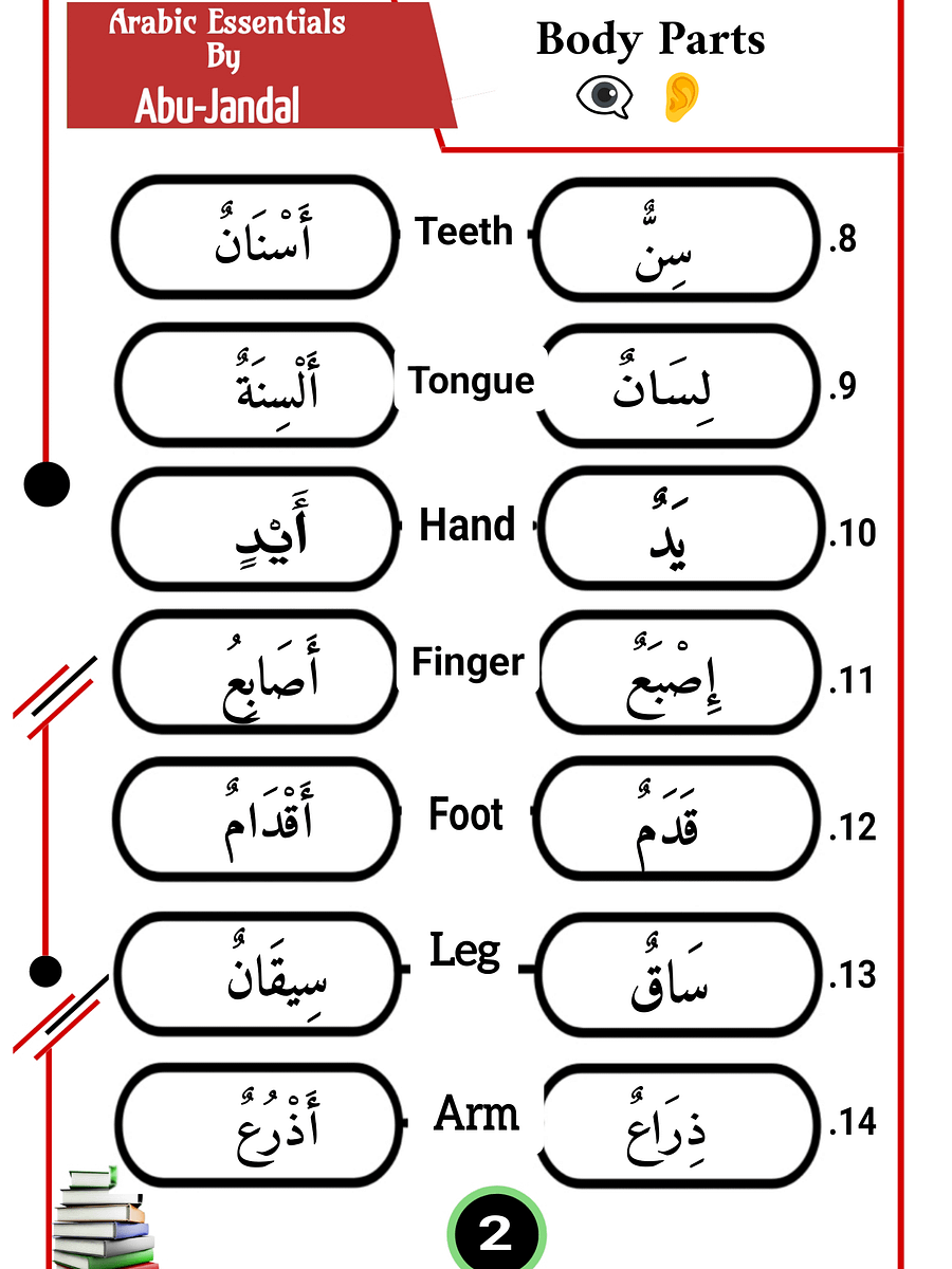 1000 Arabic Words and Plurals product image (3)