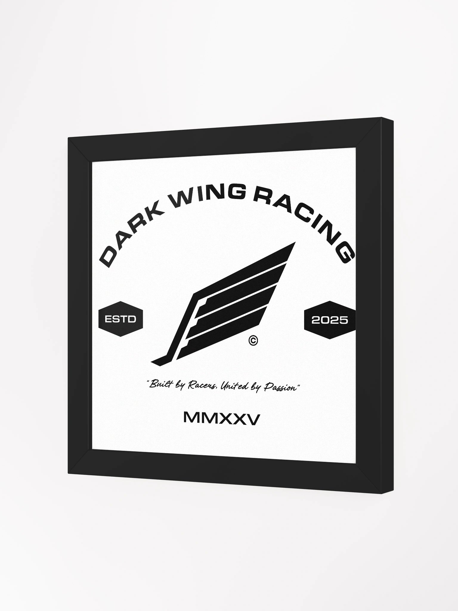 DWR Framed Crest White Canvas product image (18)