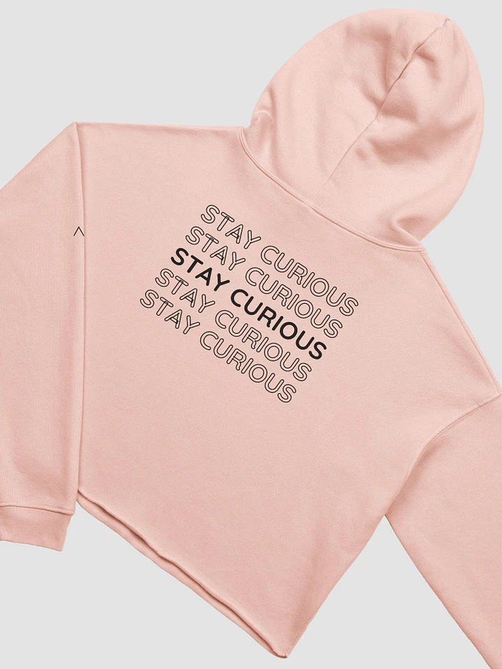 Goggles the Wise Monkey | Crop Top Hoodie | Pocket Companion | Remember to Always Stay Curious | Empowerment Shirt product image (2)