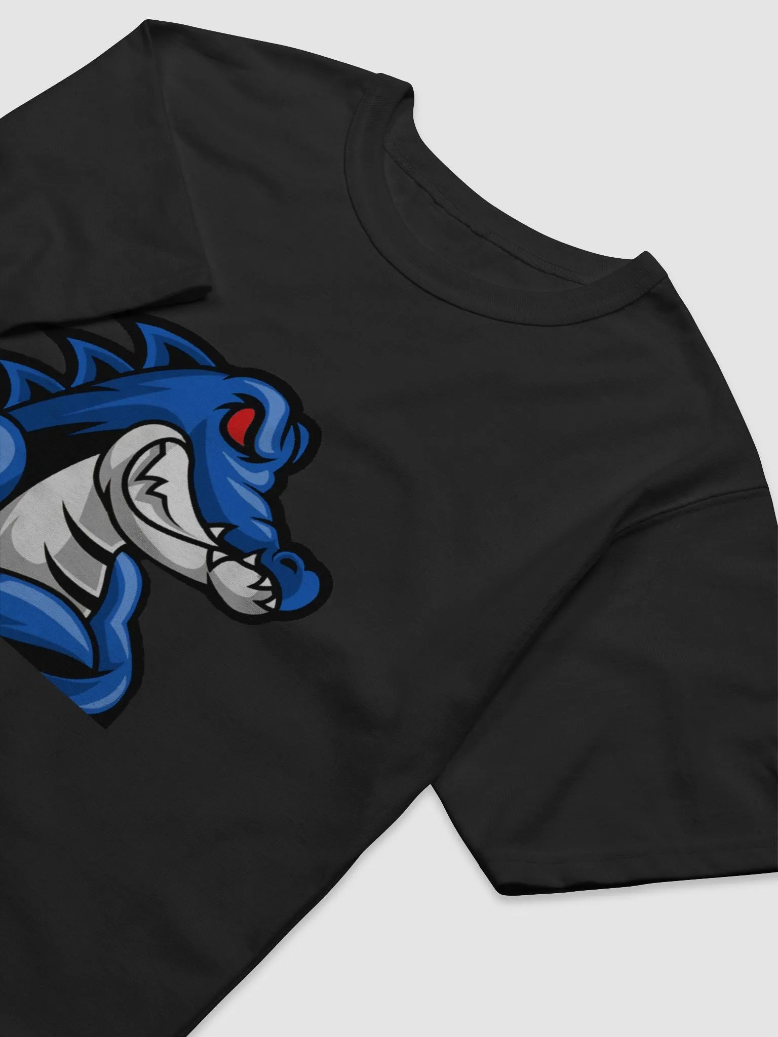 Champion EpicGatorsTV V1 Logo product image (3)