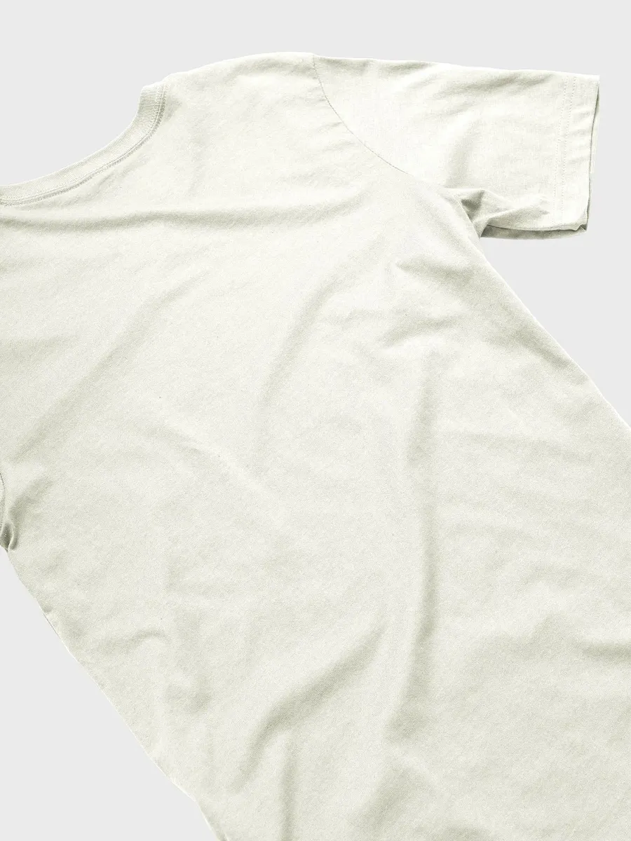 Houston T-Shirt product image (4)