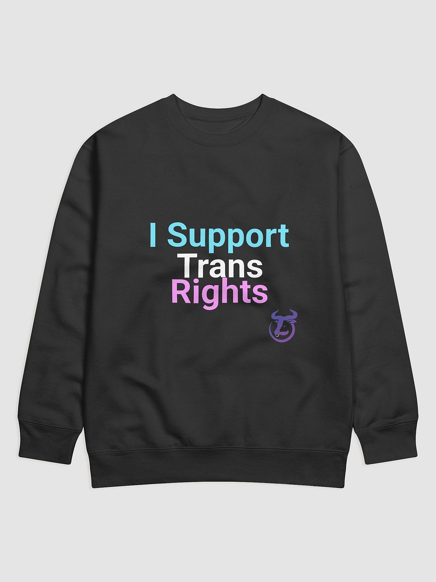I Support Trans Rights Sweatshirt product image (4)