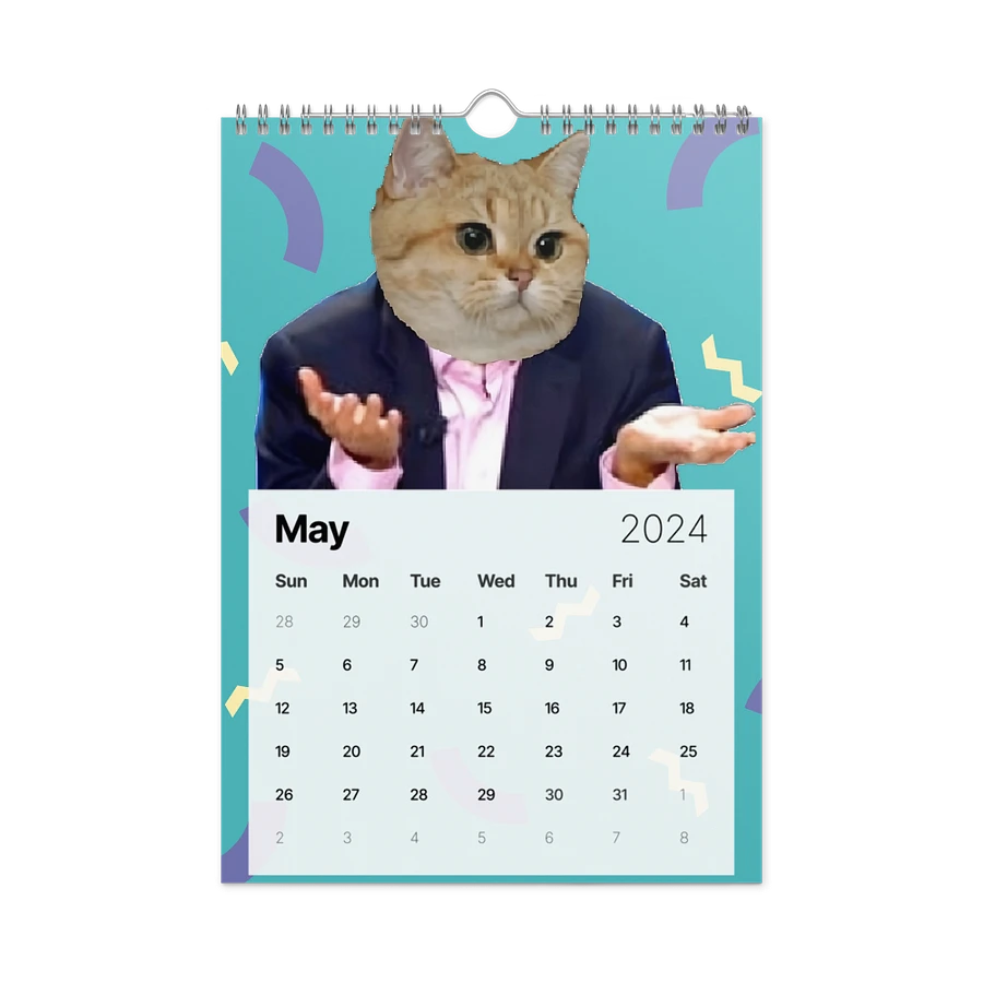 Wall Calendar (2024): Meme Cats product image (14)