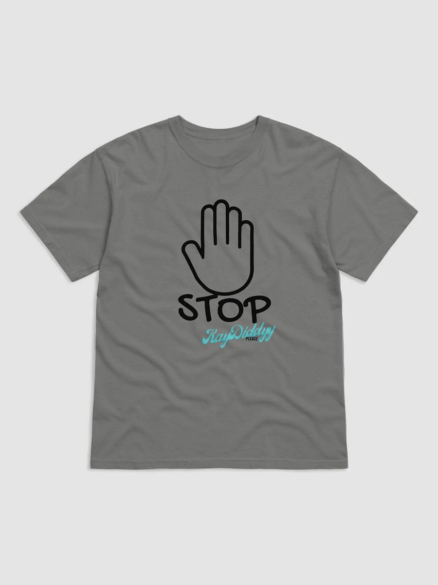 STOP KayDiddyy Please T-shirt product image (2)