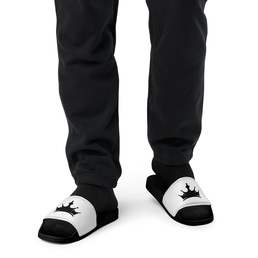 Talking Pounds SLIDDERS product image (12)