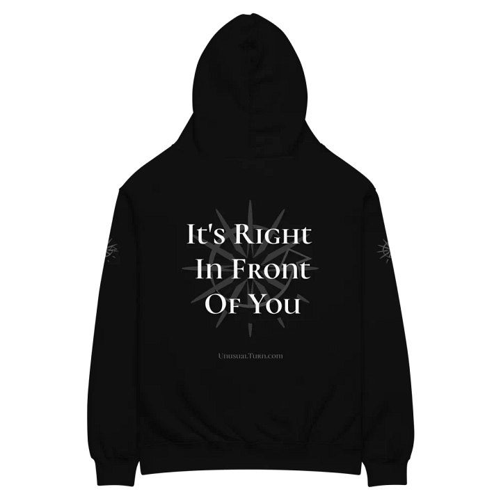What You Want Premium Oversized Hoodie product image (2)