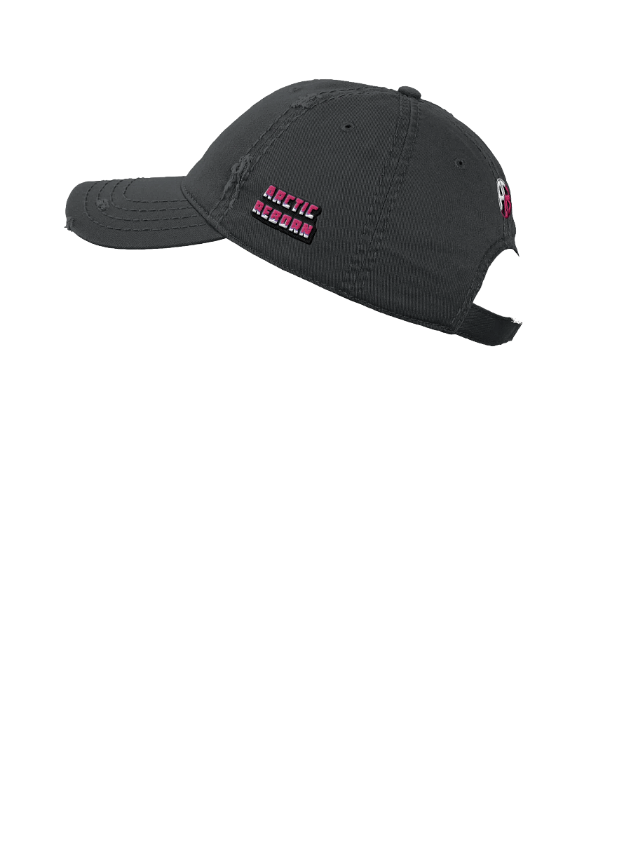 Logo Distressed Hat product image (8)