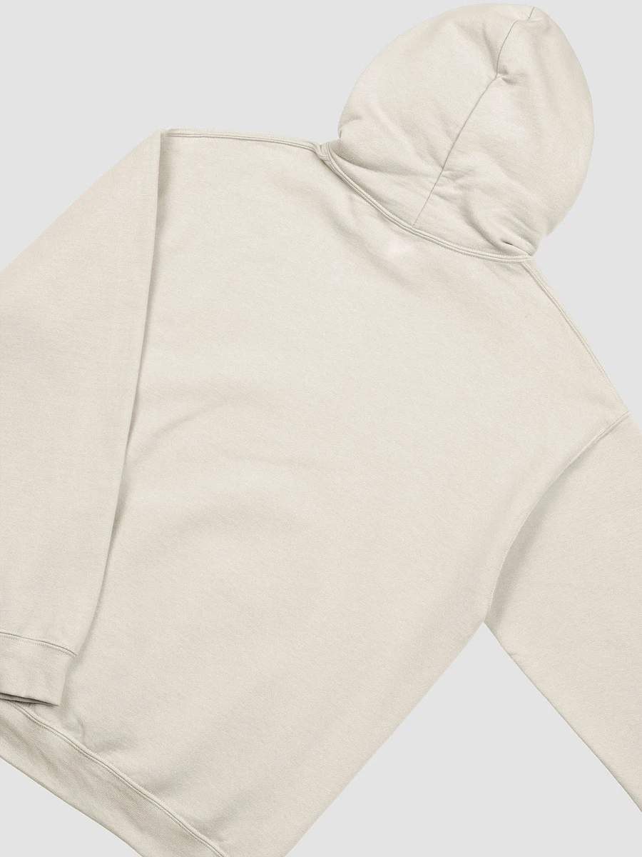 Spring Chronically Ill & Cute Hoodie product image (44)