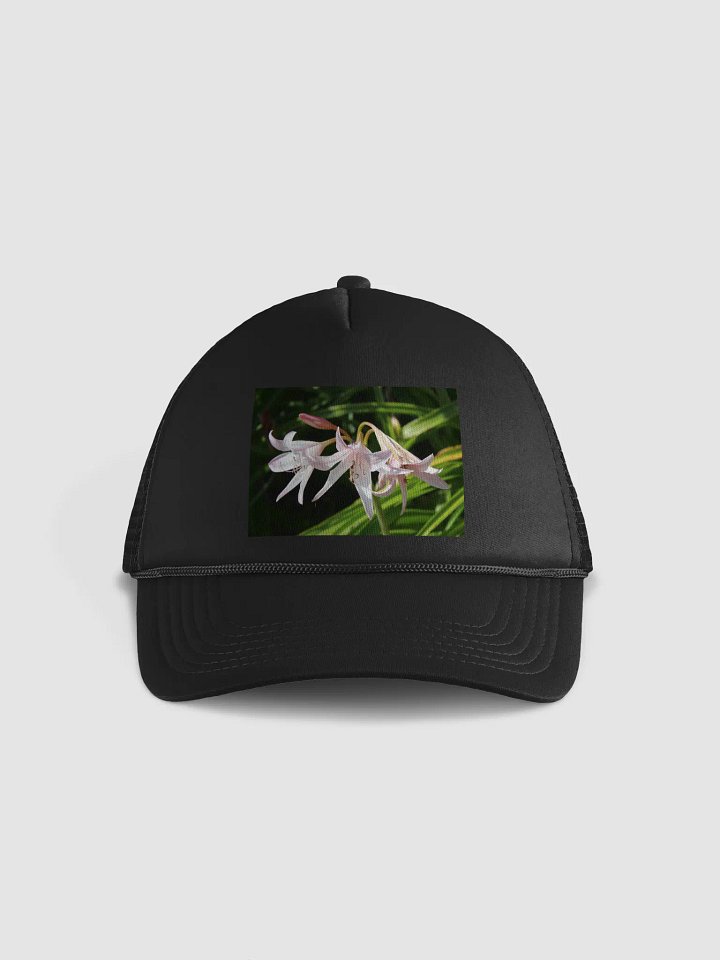 It's a wonderful life product image (1)