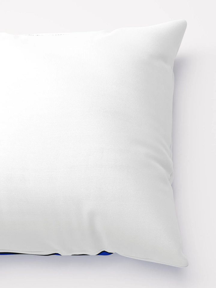 The *AHEM* Pillow... product image (4)