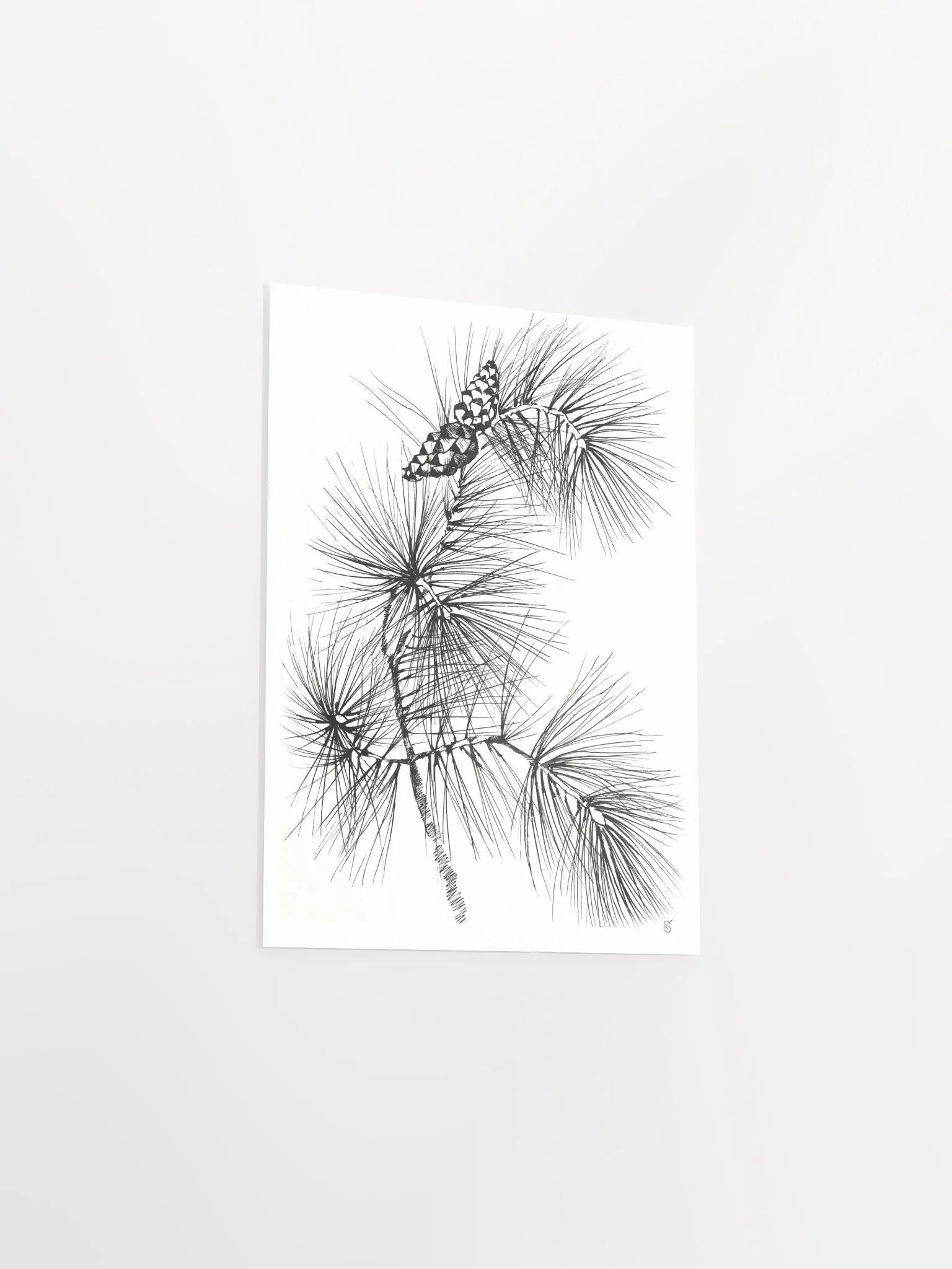 Pine Branch Serenity Poster - Pine Branch and Cones product image (9)