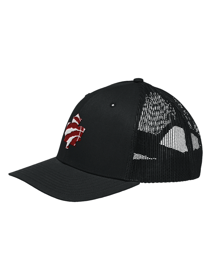 Toronto Dinos Trucker product image (11)