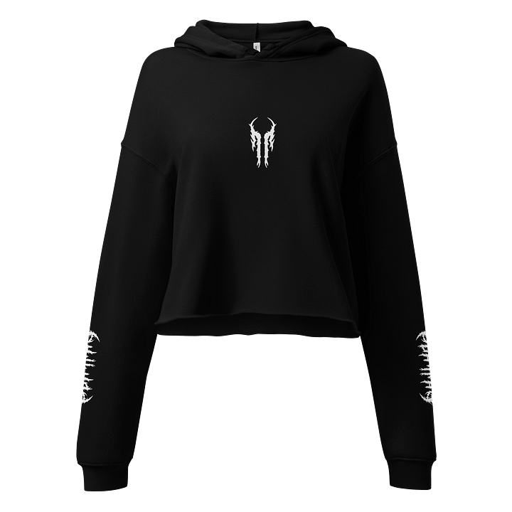 Crop Top Hoodie product image (1)