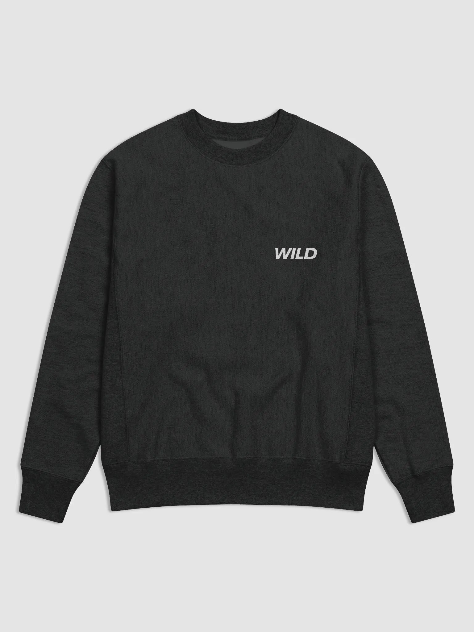 WILD ONES X Champion Crew Sweatshirt product image (2)