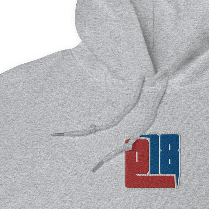 E18 Embroidered Logo Hoodie product image (2)