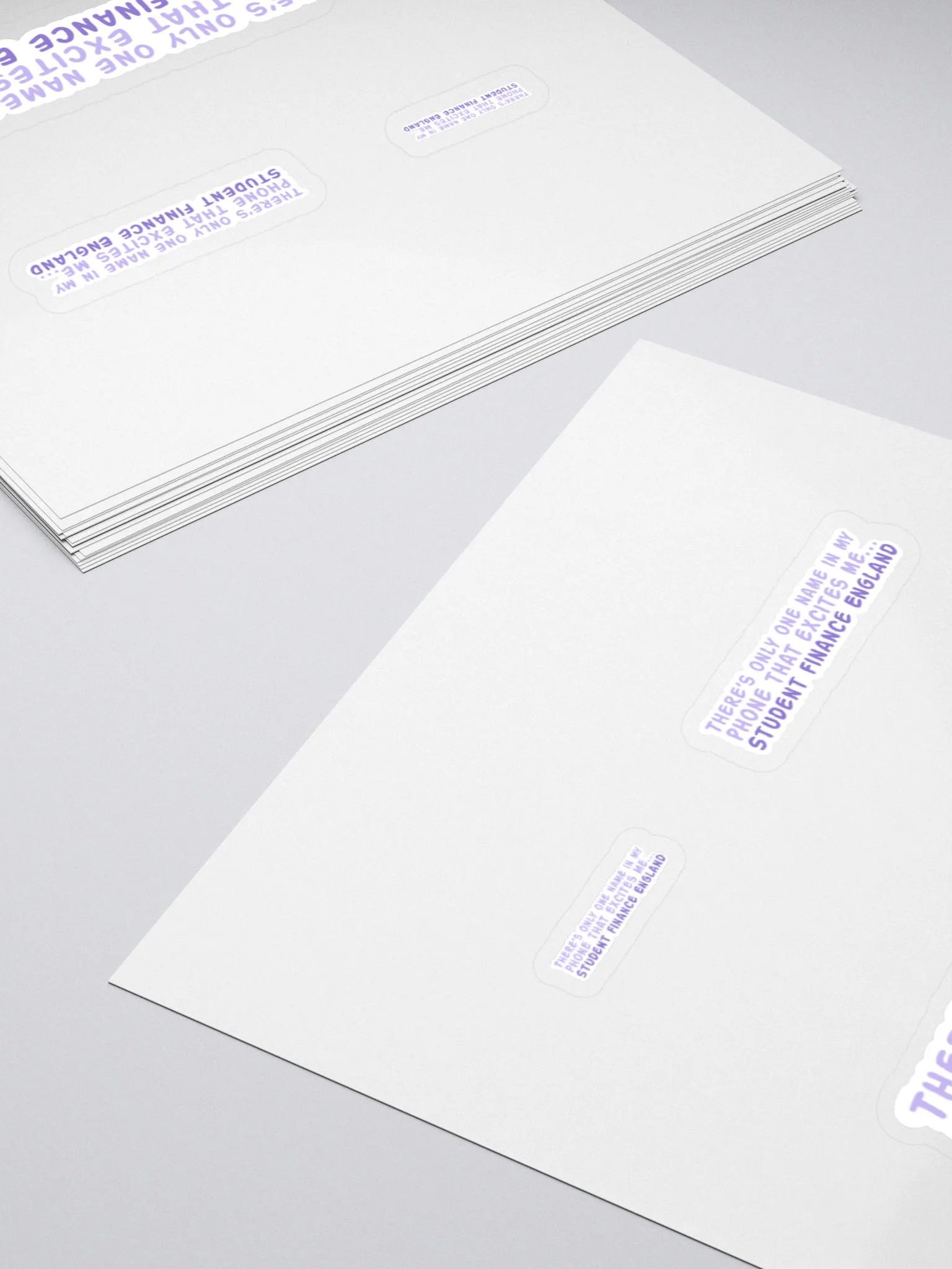 Student Finance Sticker product image (4)