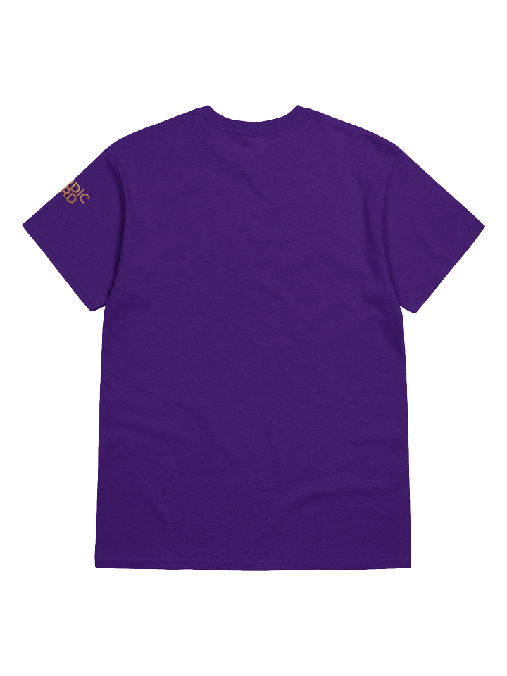 No Death, No Problem Tee product image (13)