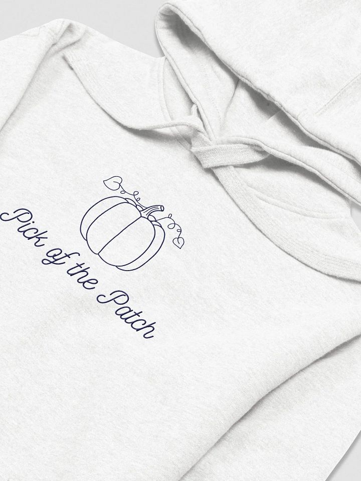 Pumpkin Patch Dreams Embroidery Hoodie product image (2)
