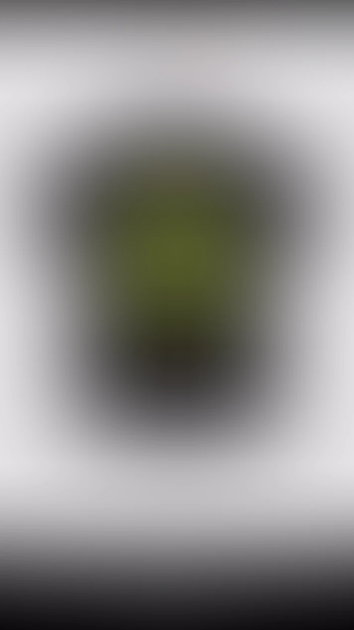 Video thumbnail background