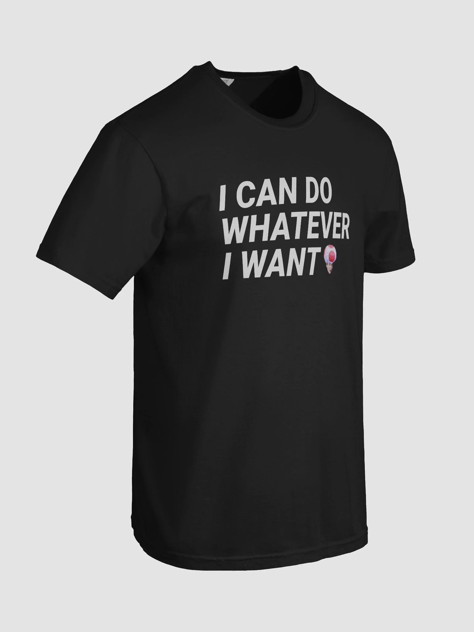 I CAN DO W.E I WANT SHIRT product image (91)
