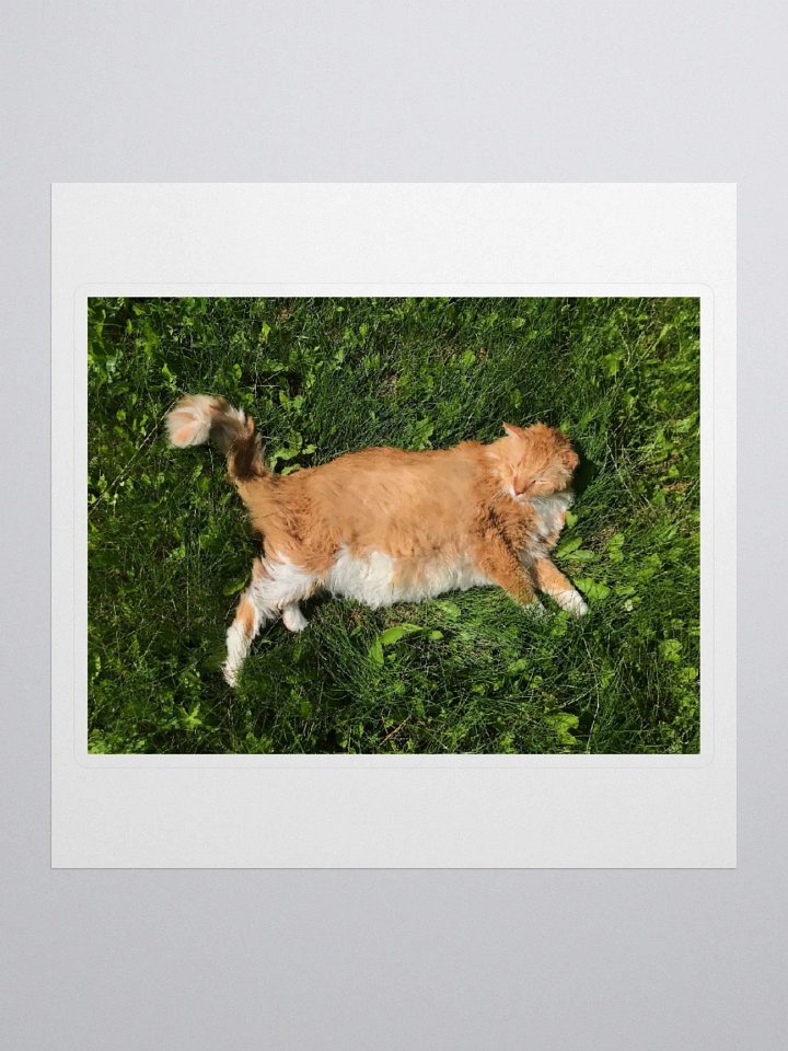 Sun Bathing Boy Sticker product image (1)