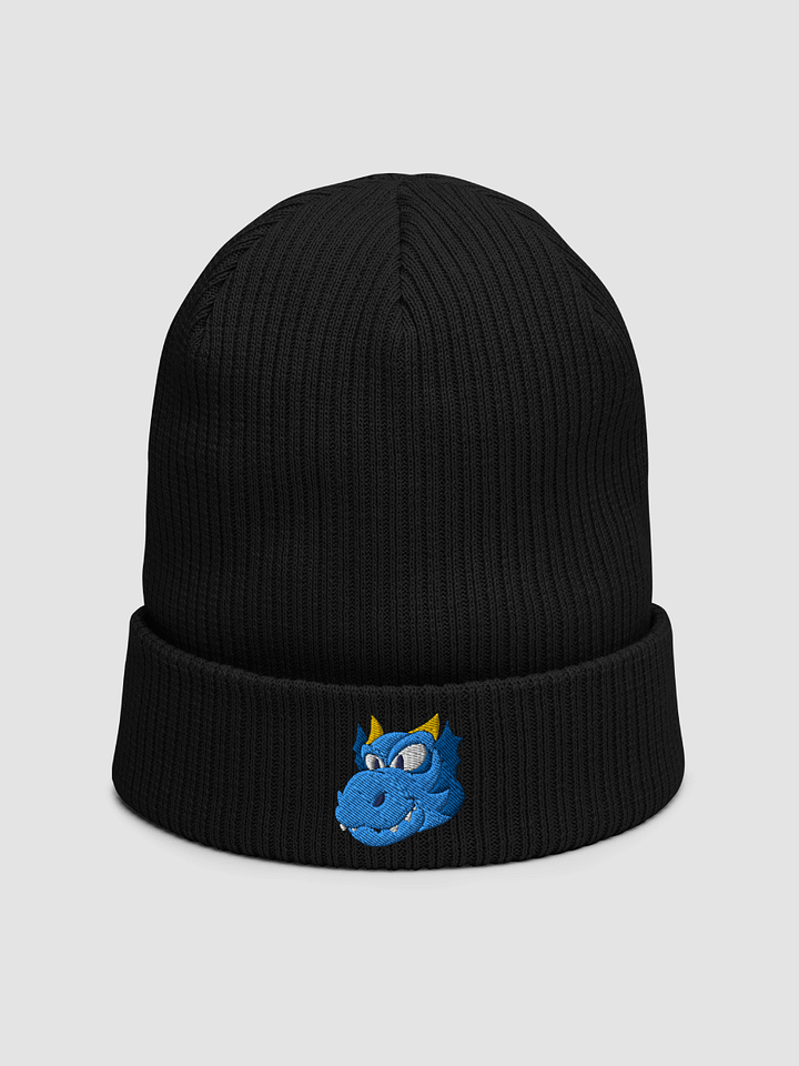 Happy Blue Dragon Beechfield Ribbed Beanie product image (1)