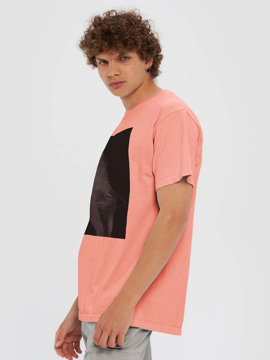 Cash product image (2)