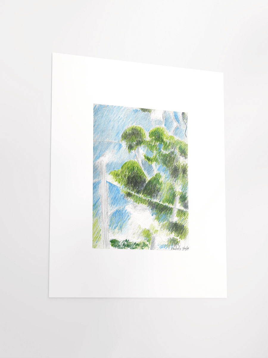 Eucalyptus 07.14.84 print product image (4)