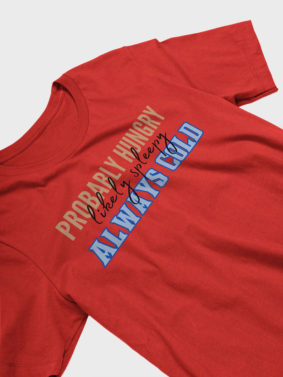 Probably Hungry Likely Sleepy Always Cold Unisex T-Shirt product image (29)