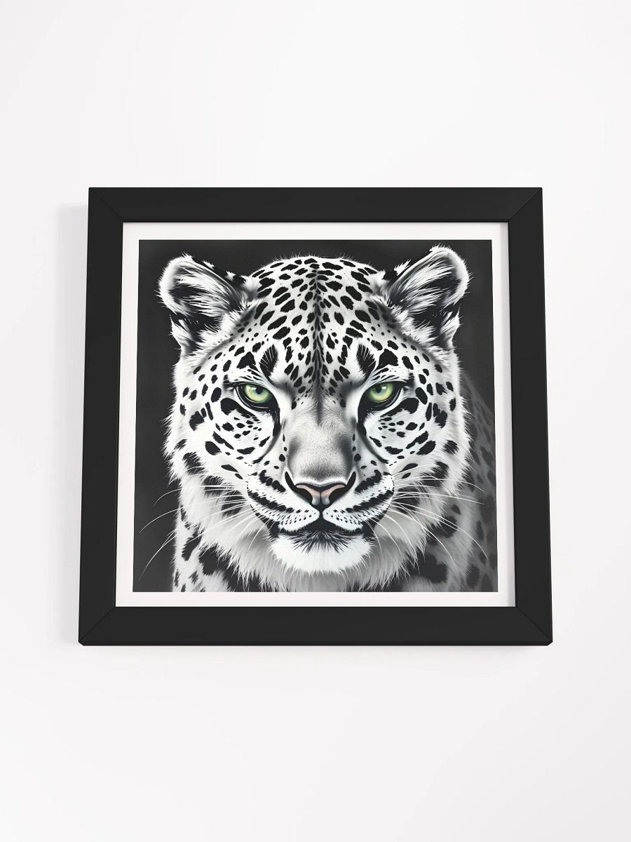 Snowleopard product image (55)