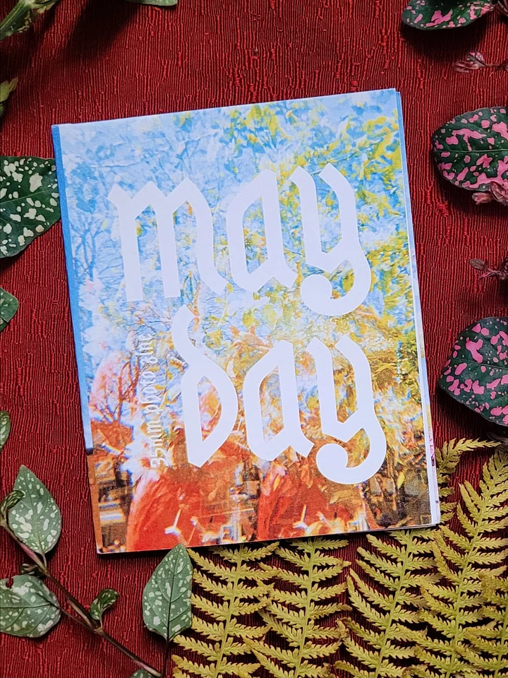 May Day Photo Zine product image (1)