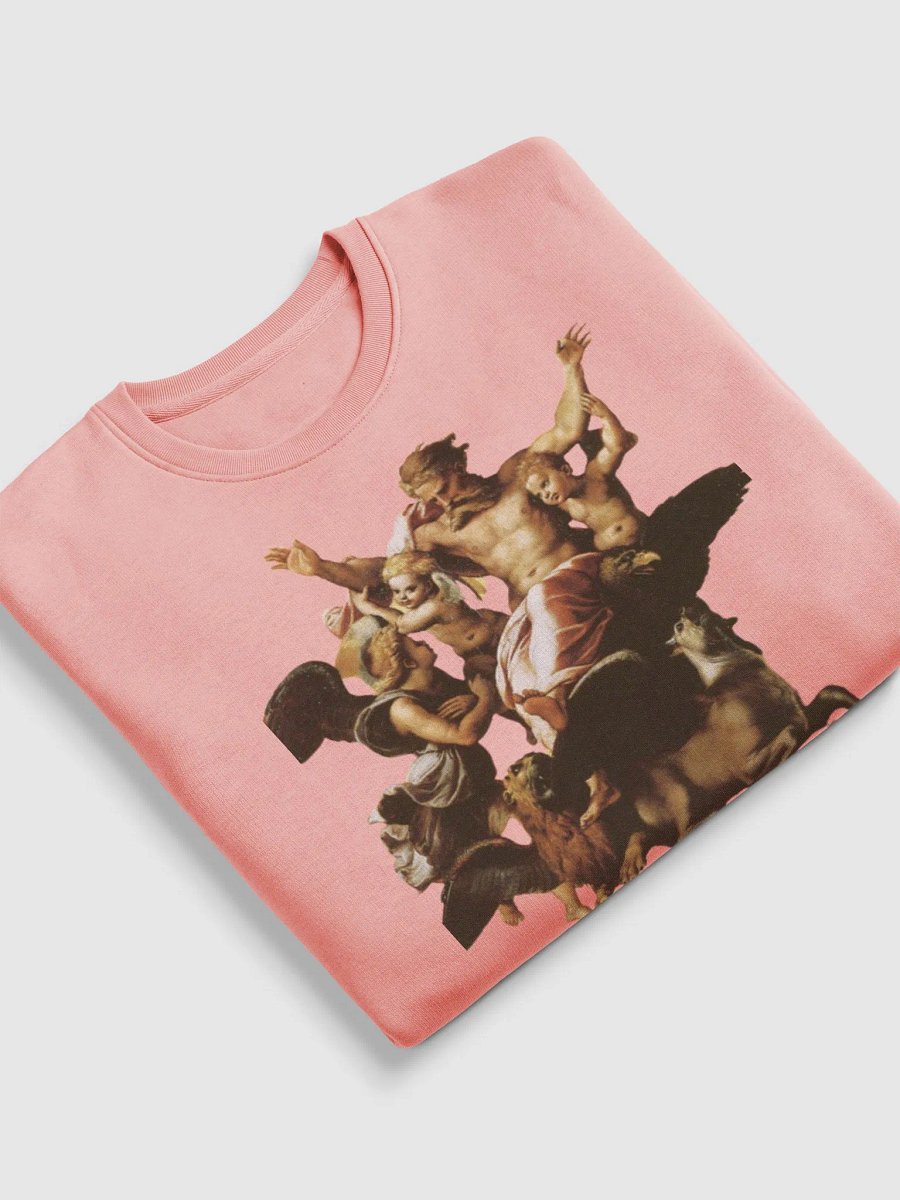 Drillys and Love (Pink Scripture sweater) product image (6)