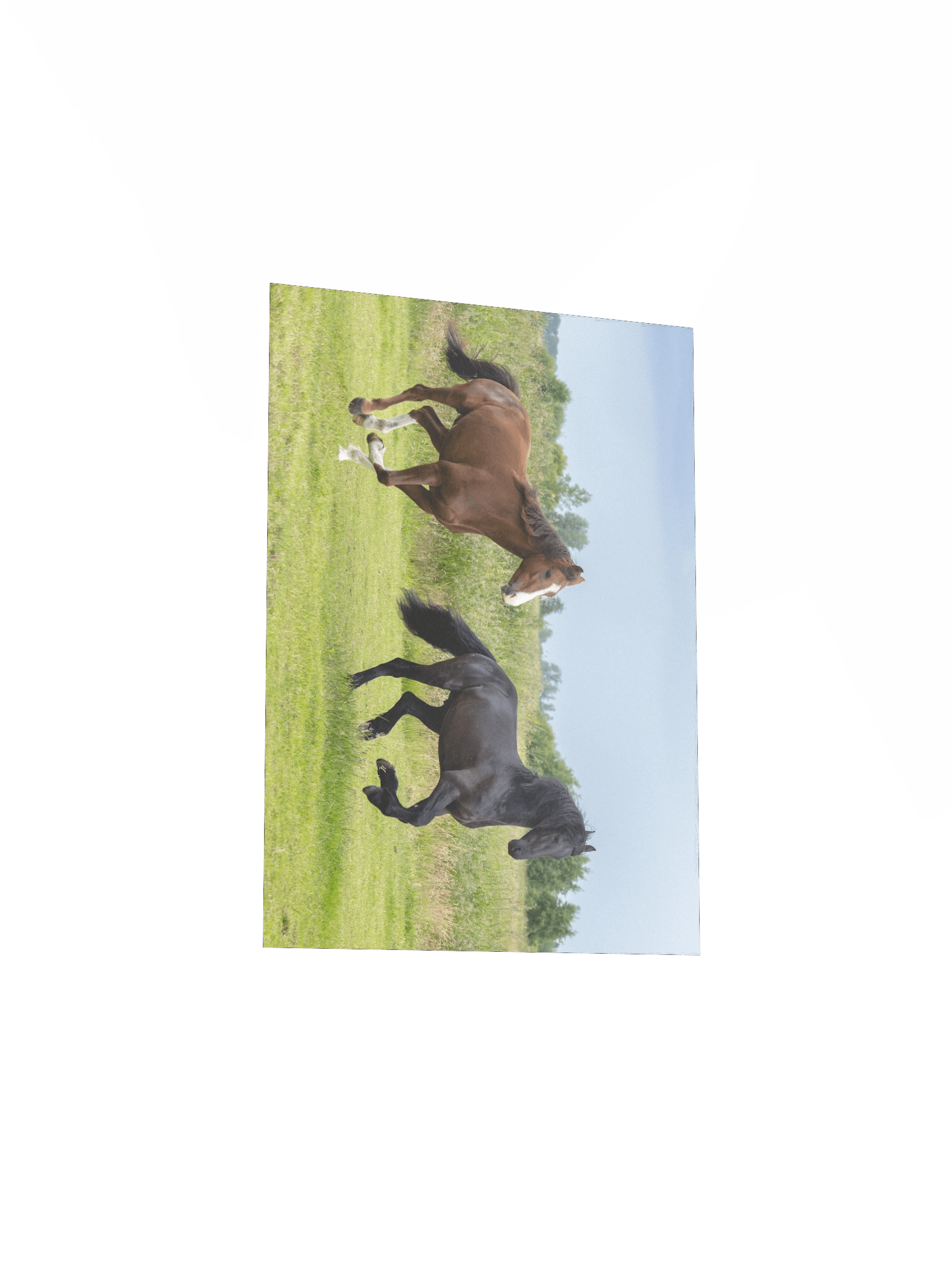 Friesian Horses Poster Prints product image (4)