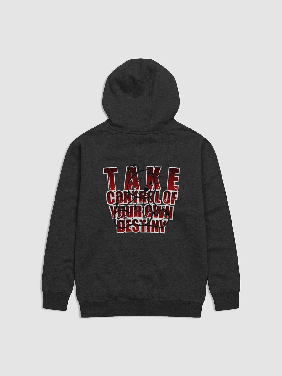 Take control limited Hoodie product image (3)