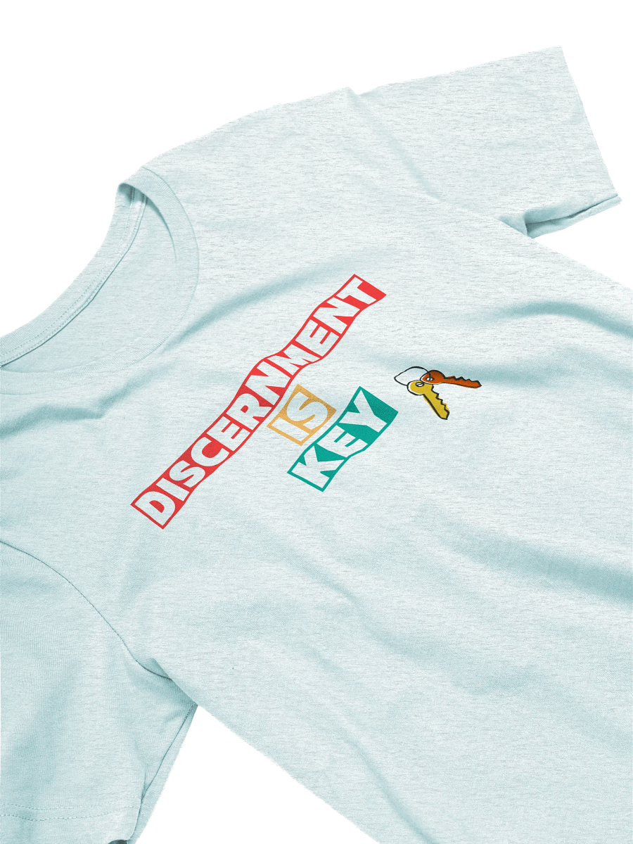 Discernment is key T Shirt product image (33)