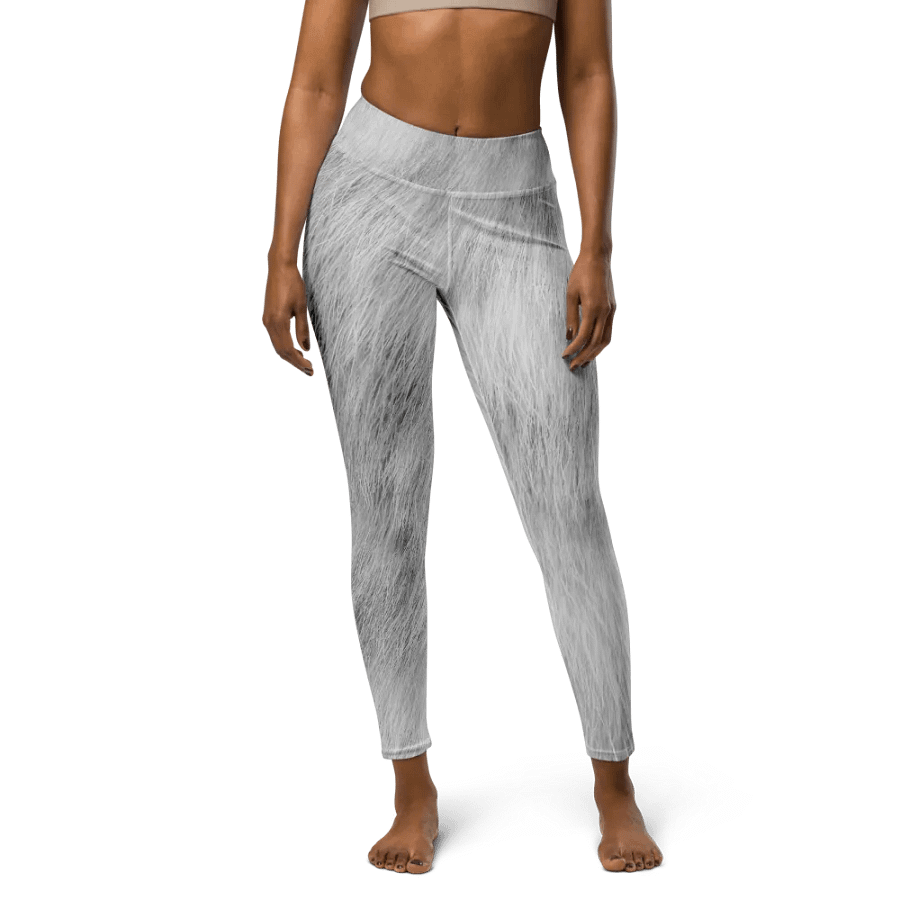 Chinchilla Cat Yoga Leggings product image (2)