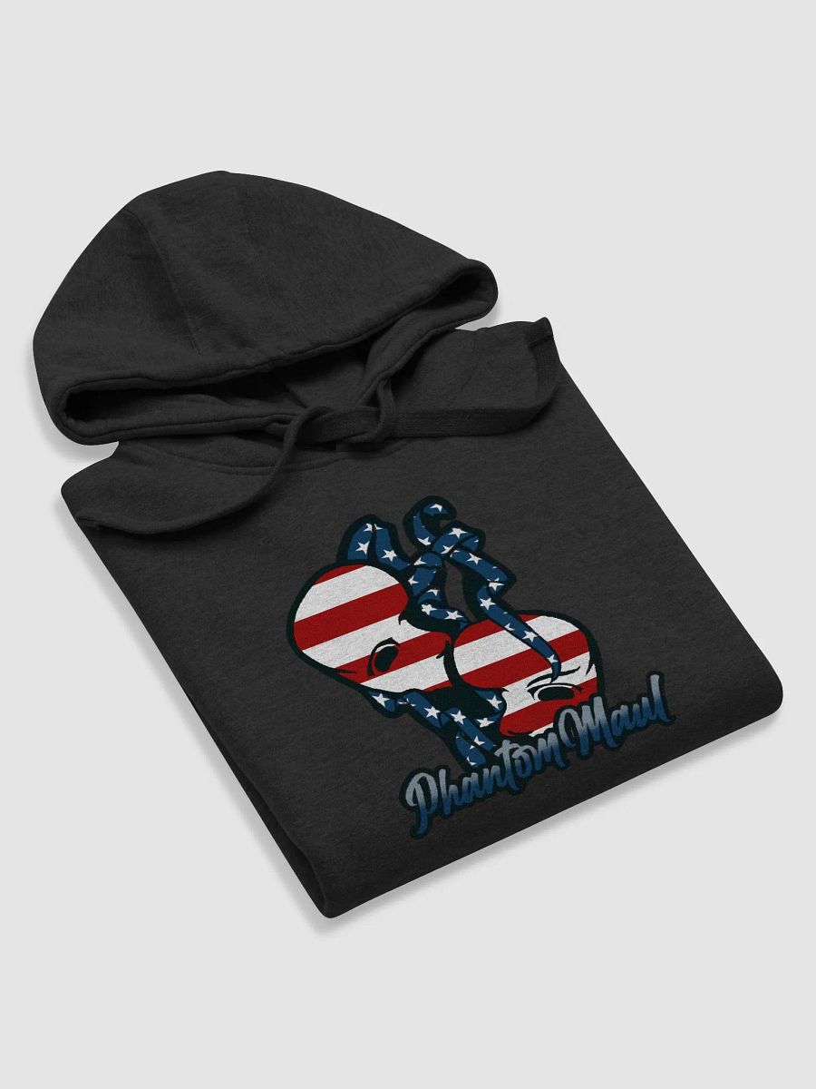 USA Big Logo Premium Hoodie product image (50)
