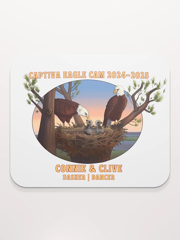 Art | Mouse Pad | Captiva Eagle Cam 2024-2025 product image (1)