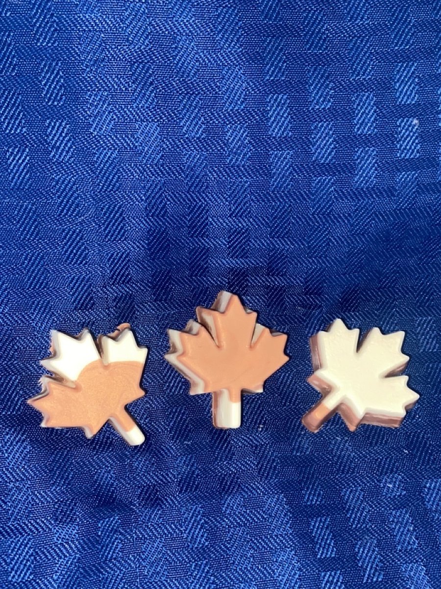 Cocoa and Cashmere Wax Melts 6 pack product image (1)