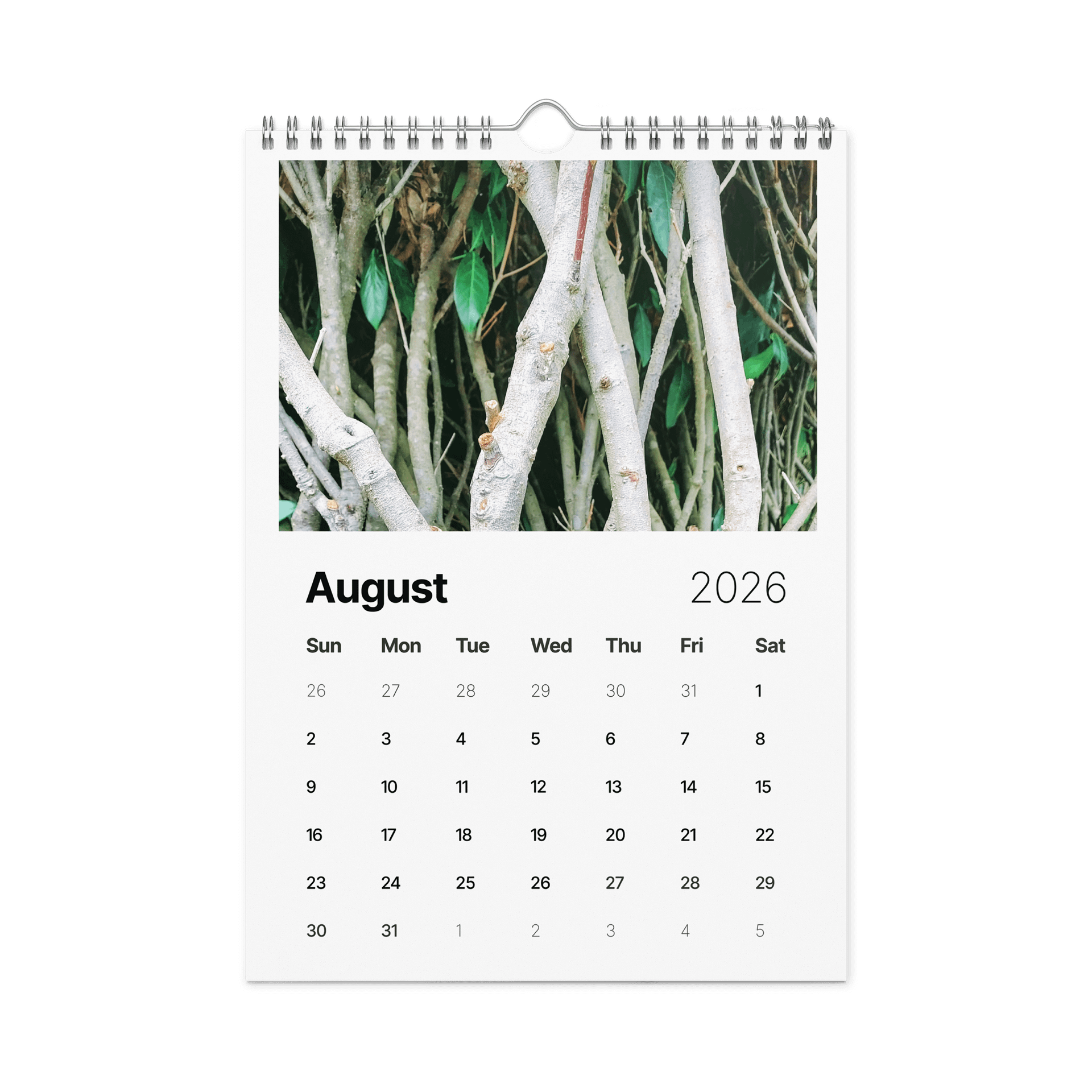 Canopy of Time: 2026 Wall Calendar product image (8)