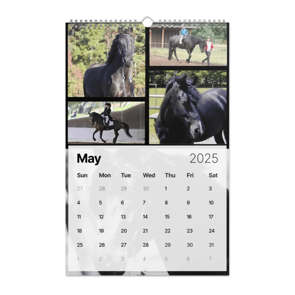 2025 Moriesian Horse Registry Calendar product image (23)