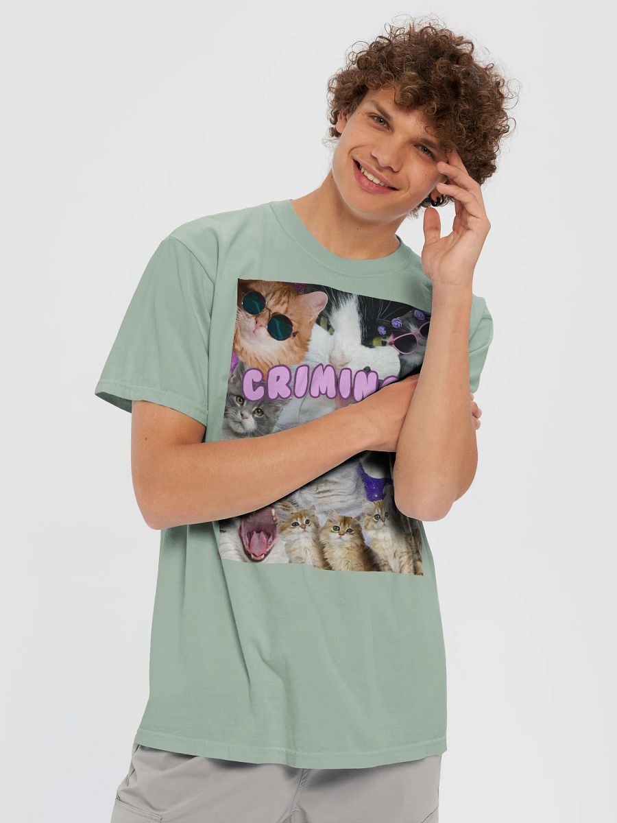 Collection BEAUF : Criminou product image (40)