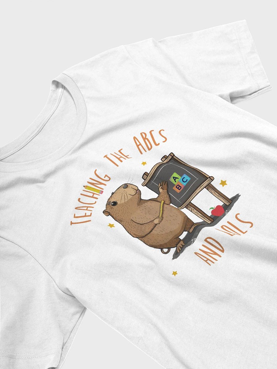 Back To School Cute Capybara Teacher T-Shirt product image (5)