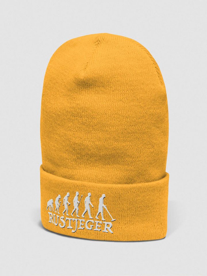 Evolutionary Progression Beanie product image (2)