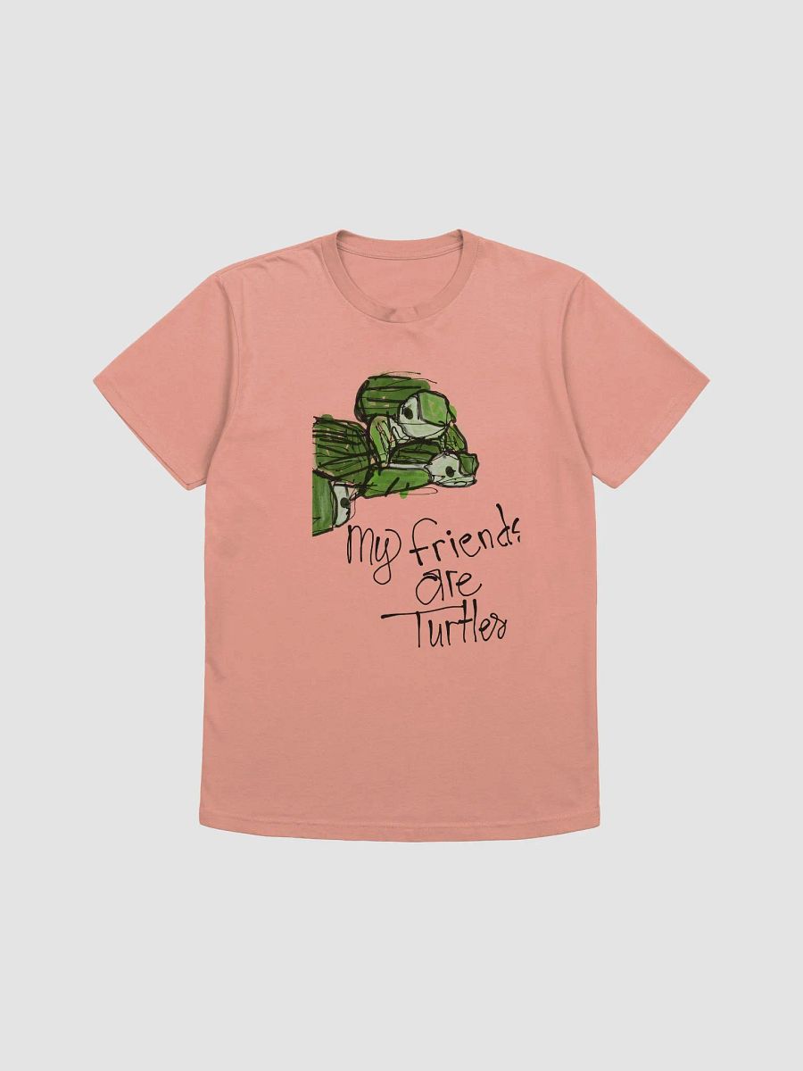My friends are turtles product image (2)