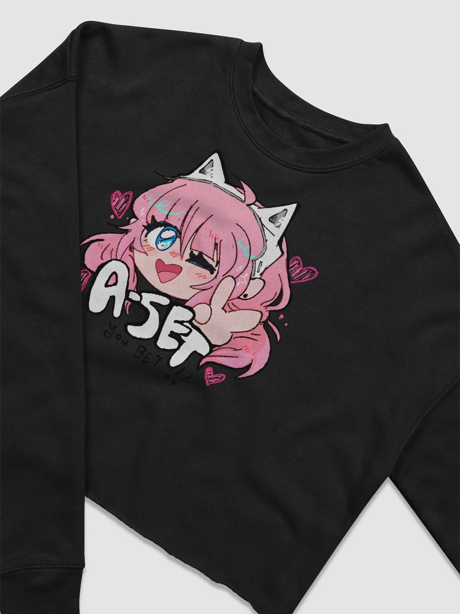A-Set Fleece Crop Sweater product image (4)