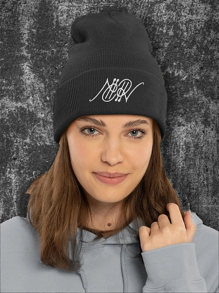 RV Beanie product image (1)