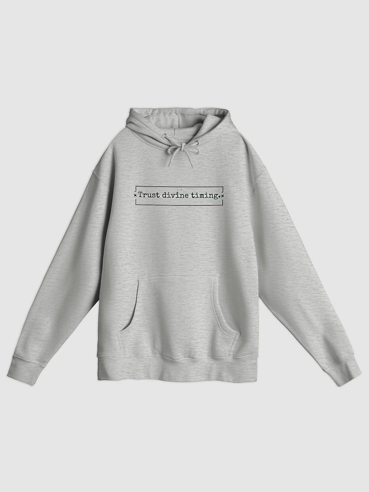 Trust Divine Timing Hoodie product image (1)