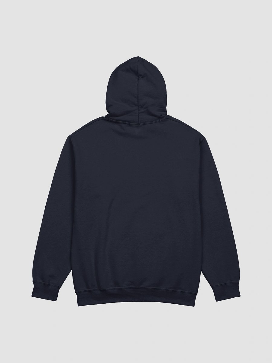 flap, quack, skate, repeat unisex hoodie product image (3)