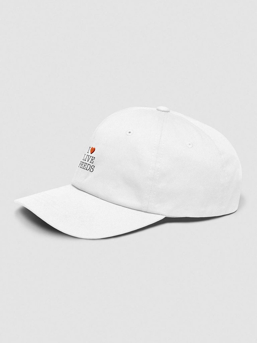 I <3 Live Feeds Dad Hat product image (3)